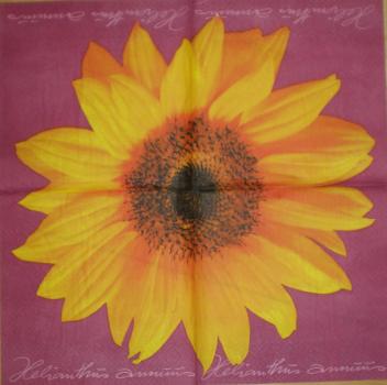 009 Sonnenblumen - 3-lagig (grün) - ti-flair